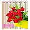 Блокнот А6  48л "Красные тюльпаны-2" на цветной спирали