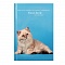 книжка записная  а6  48л "белая кошка на голубом" тв. обложка, глянц.лам.