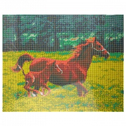 алмазная  мозаика 40*50см "лошадь с жеребенком"