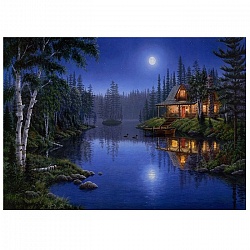 алмазная  живопись "darvish" 40*50см  дом у лесного озера